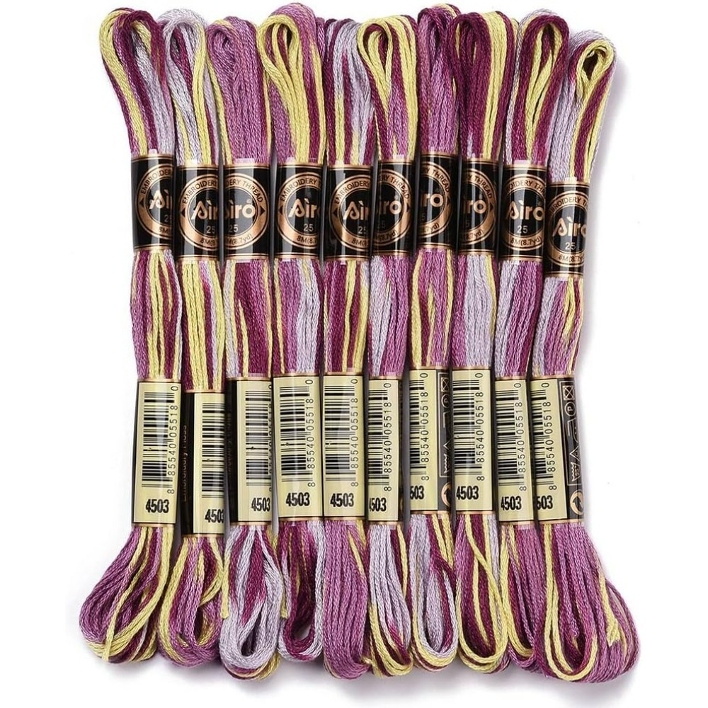 Embroidery Stitches - 6 Strands สีม่วง Variegated เย็บปักถักร้อยไหมขัดฟันสี CROSS